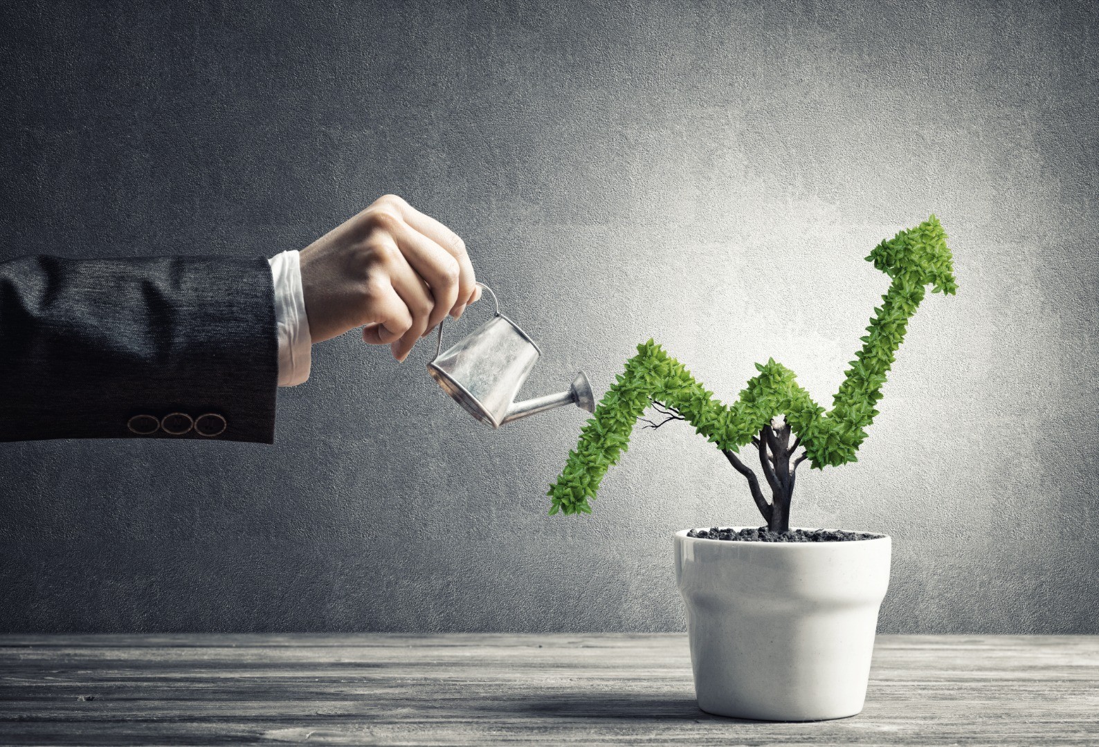 creazione ecommerce lucca