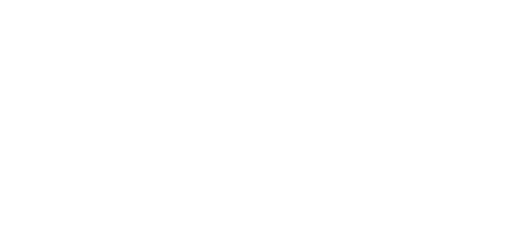 Logo edge srl
